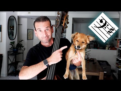 G Major Two Octave Scales for the Double Bass