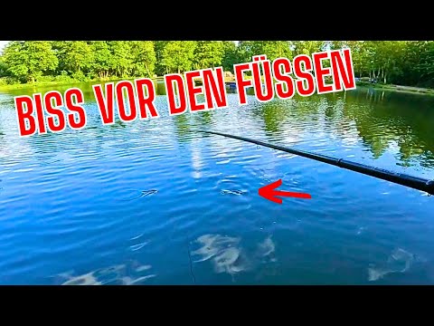 Forellenangeln im Sommer | Angelparadies Burgdorf | Montagen für Forellenscwhräme an der Oberfläche