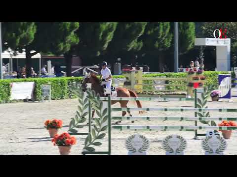 OE TV 4. Dieter Köfler with Golden Gun | h.140 18.6.17