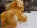 Sesame Street 1621 Making Deliveries In The Snow 1982