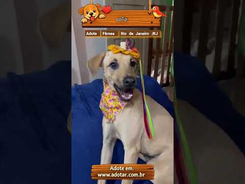 Vídeo de sofia