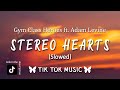 Stereo Hearts (TikTok Remix){Run For You} [Lyric] 