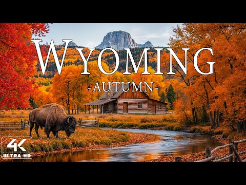 🍁 Wyoming in Autumn 4K UHD - Golden Valleys, Vibrant Forests & Stunning Wild Landscapes 🍂