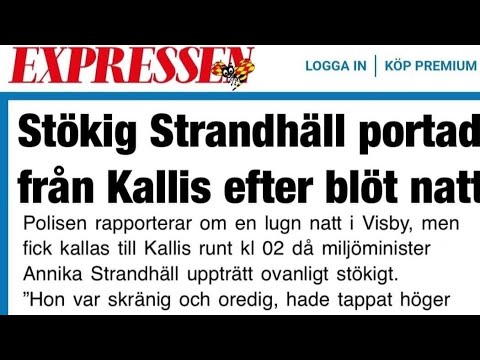 Är Annika Strandhäll alkoholist eller bara AnnAhl?