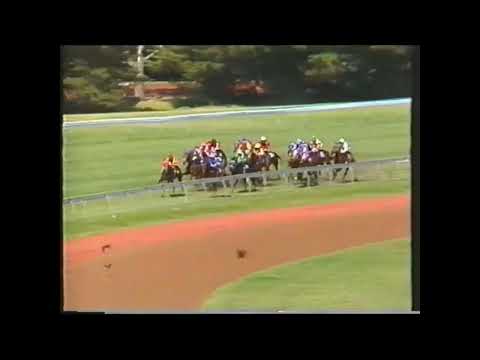 Zamakima - Queen Elizabeth Stakes - Flemington 1988