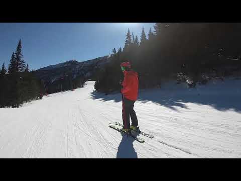 2020 Ski Test - Stockli Laser AR Skis