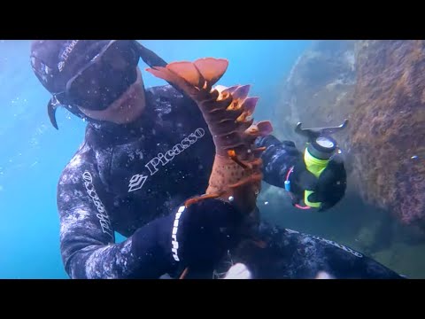 Miss a Lobster, keep trying.