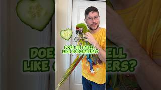 Does Cucumber Smell Like Cucumbers?