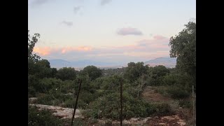 יושב בסתר עליון... (אהבת עולם תביא להם - ניגוני נשמה ושמחה. דן בזק) - התמונה מוצגת ישירות מתוך אתר האינטרנט יוטיוב. זכויות היוצרים בתמונה שייכות ליוצרה. קישור קרדיט למקור התוכן נמצא בתוך דף הסרטון