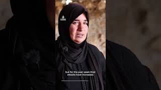 Israeli settlers attack Palestinian mother and child during West Bank Eid celebration
