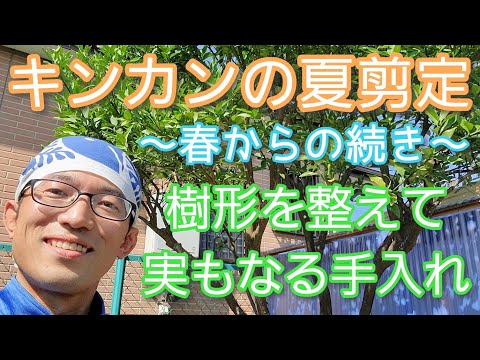 果樹を月切りで切る 掃除する 間伐する 枝を閉じる