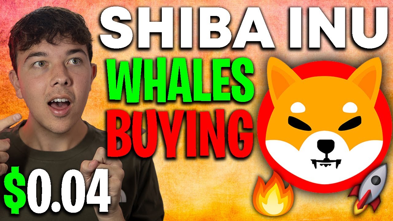 SHIBA INU COIN 🔥 WHALES ARE LOADING UP 🚨 HUGE PUMP 💯