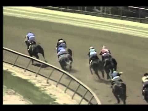 Pimlico 04/27/14 race 3