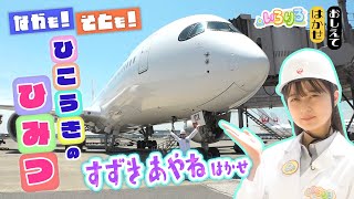 [乃木] 絢音姐姐介紹飛機