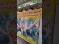 Vijayakanth Theivam Mass Dialogue Vijayakanth Mass Dialogue