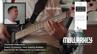 Video thumbnail for Stingray Special 5 HH - sounds only by Robin Mullarkey