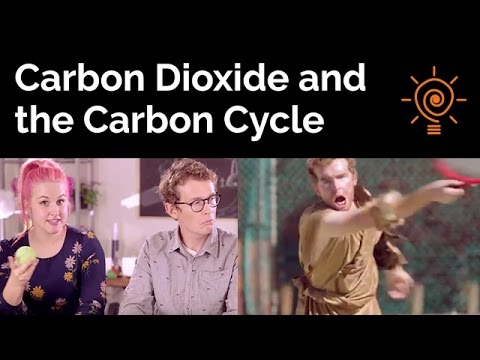 Carbon Dioxide and the Carbon Cycle - Ep1 - Solar Schools
