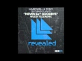 Never Say Goodbye (Wildstylez remix) - Hardwell ...