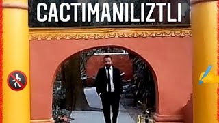 Cactimaniliztli