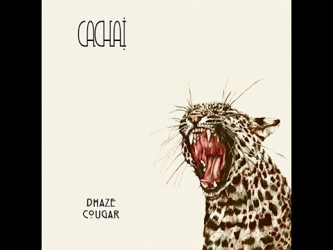 Dhaze - Cougar