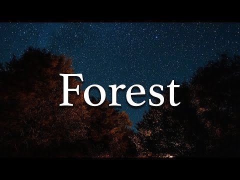 Forest sounds at night | Jungle nightlife sounds | Nature sounds 🌳🍃