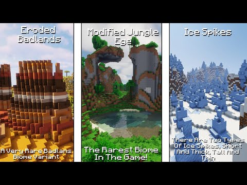 The Most Rare Biomes In Minecraft