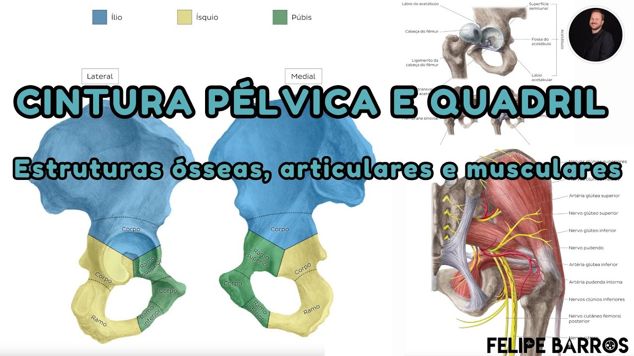 Quadril: Anatomia, biomecânica e avaliação | Prof. Felipe Barros