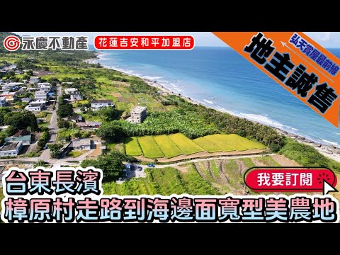 長濱鄉-樟原路農地出售 第1張共16張