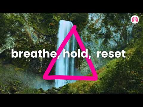 Daily Nervous System Reset | 10-Min Somatic Breathwork Exercise | TAKE A DEEP BREATH