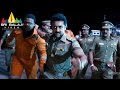 Singam (Yamudu 2) Suriya Aresting Danny Scene | Suriya, Anushka, Hansika | Sri Balaji Video