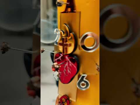 V&iacute;deo 5
