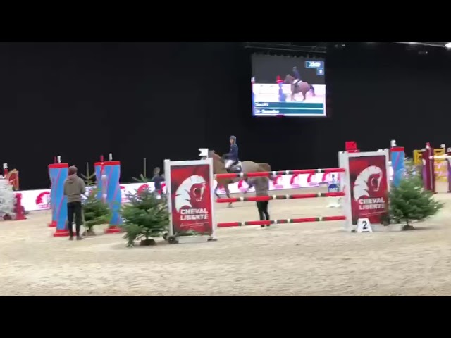 Mother Destination CSI 1.50m jumping mare with rider Tim Lips.