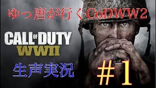 【CoDWW2】ゆっ唐が行くCoDWW2   #1