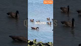 Download lagu #beyourself mp3 Download lagu #beyourself mp3