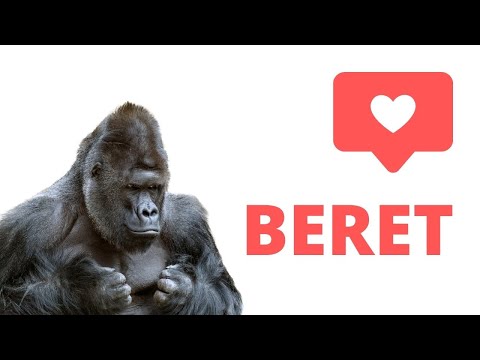 ❤️ Psicóloga reacciona a BERET: BYE BYE - ÁPICES