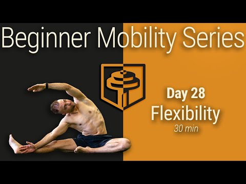 Day 28: Full Body Flexibility | 30 Minutes | Beginner Mobility Series thumbnail