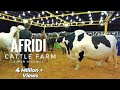 AFRIDI Cattle Farm Super Highway Karachi Cow Mandi 2021 Expedition Pakistan