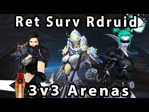 Savix Cupid 3v3 Arenas Ret hunter Rdruid