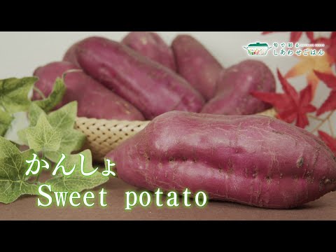 2024年10月4日(金)放送 かんしょ生産者の声