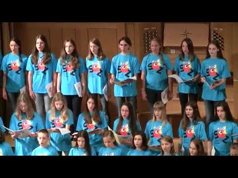 Slovenski otroški zbor 2014 - HOTARU KOI (Japonska otroška pesem, prir. Ro Ogura)