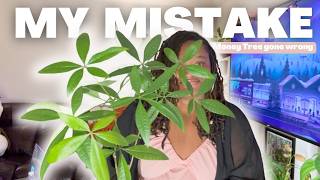 This is What I Did Wrong With My Money Tree