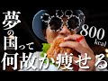【なぜか痩せる】好きなもの食べても痩せる夢の国の謎。