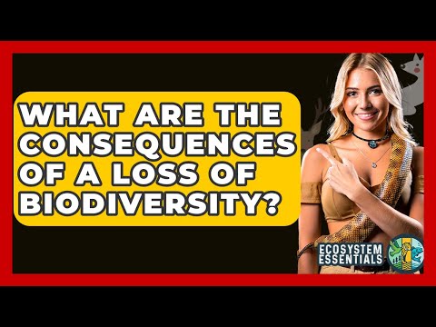 What Are The Consequences Of A Loss Of Biodiversity? - Ecosystem Essentials