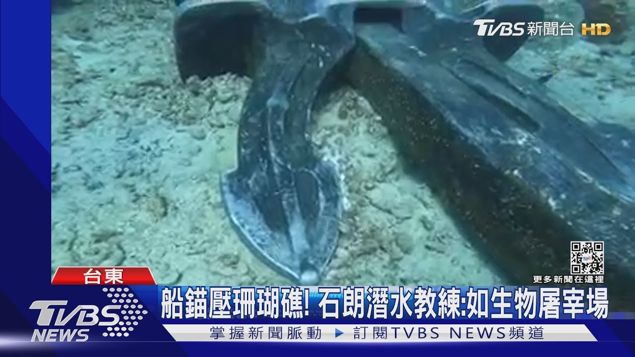 船錨壓珊瑚礁！　石朗潛水教練：如生物屠宰場