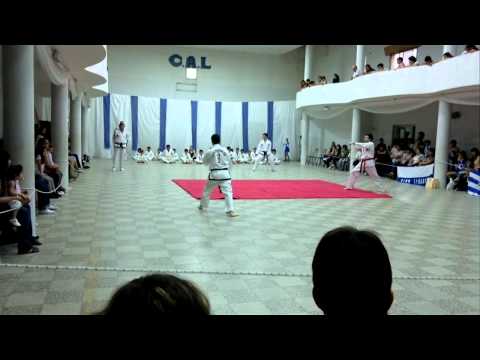 demostracion taekwondo