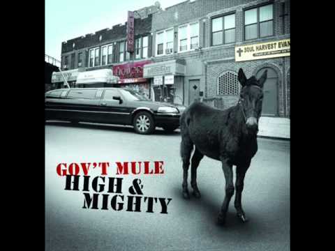 Gov`t mule - Endless parade