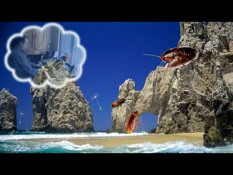 La Cucaracha - Pancho Vila - Ronald on Yamaha Tyros 4