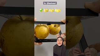 Download lagu Dua Pir Gak MASUK‼️ boxframe1 mp3