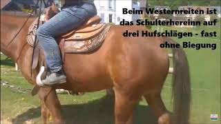 Mutter-Tochter-Disk: Mr.T-Bit geht sogar beidhändig bis auf Seitengänge &amp; fliegende Galoppwechsel