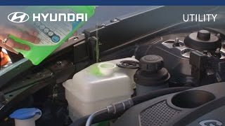 Hyundai | myHyundai | How To Check And Fill Coolant